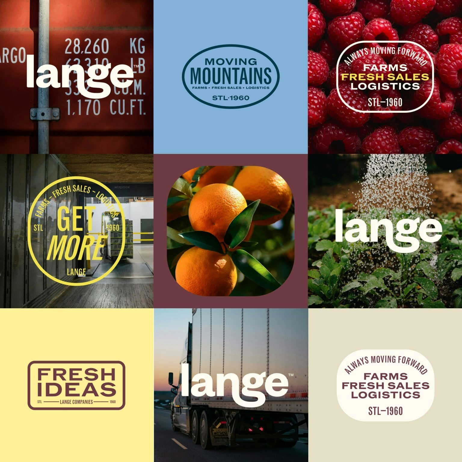 A grid of nine images showcasing the Lange logo, photographic toolkit, and typographic expression